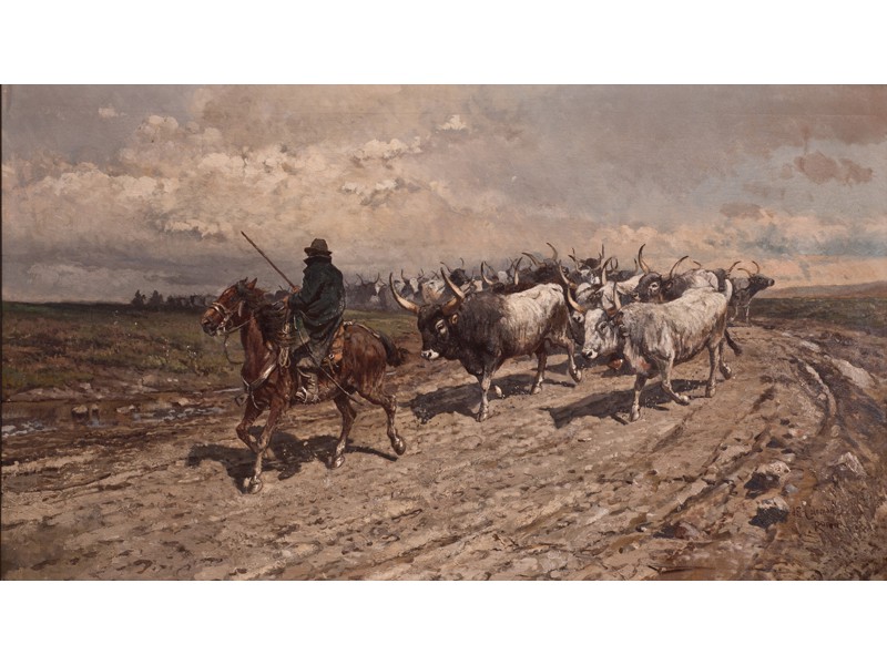 valutazioni opere di enrico coleman